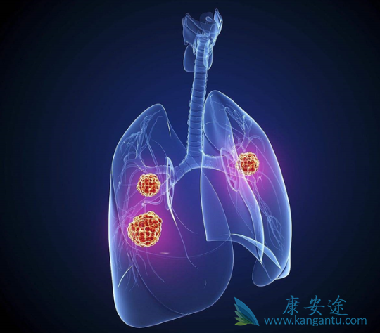 �ΰ���ת��