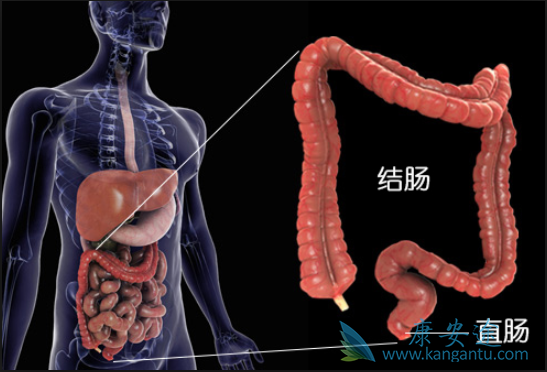 ��ֱ����