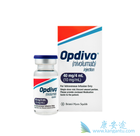 ��ϸ����