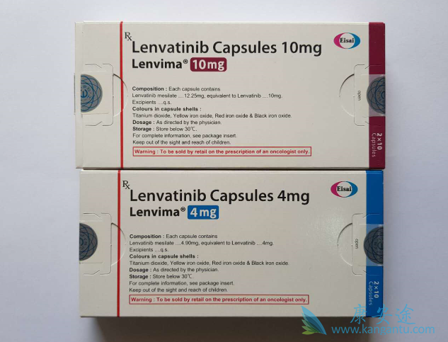 �ΰ���������