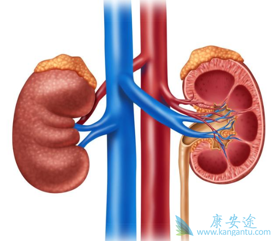 ���������ܻ���