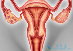 �ѳ������ںͲ�ͬ�������ѳ��������Ʒ���