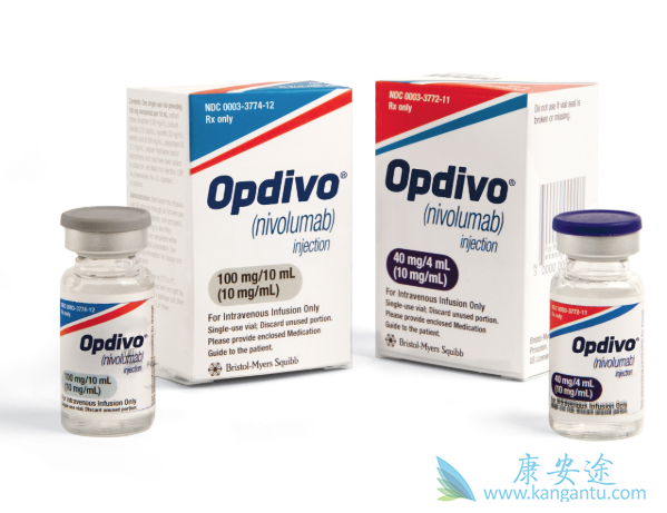 �ΰ���������