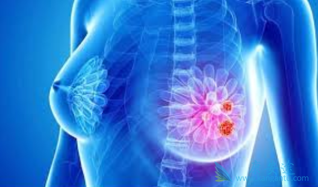 �������ٰ�