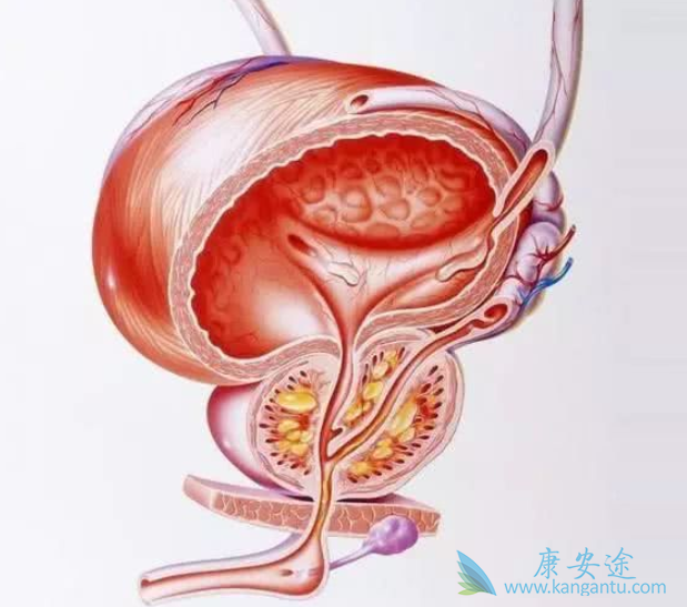 ����ǰ���ٰ�