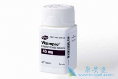 �������(Vizimpro)һ�����Ʒ�Сϸ���ΰ�����Ч��ô����