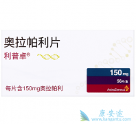 PARP���Ƽ���������������ǰ���ٰ�������