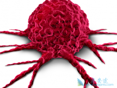 �����ȷ���ư�֢�����ٰ����κ���