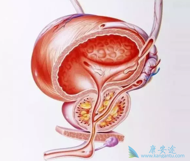 ǰ���ٰ�����