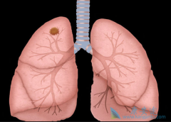 �ΰ�����ʱ���ֶ��Ը�ˮ����δ�����