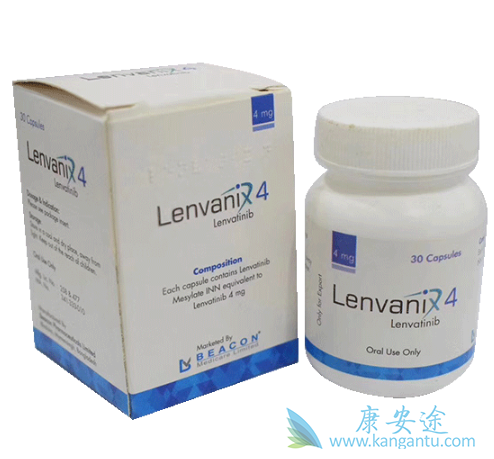 �ط�����