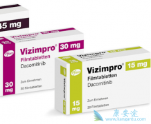 ��һ��EGFR���Ƽ��������İ�ȫ����ô����