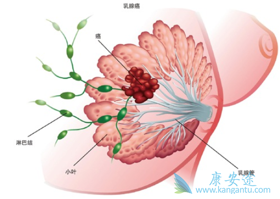 ���ٰ�����