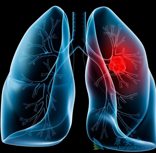 ���˷ΰ���ô��