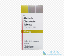 ��������/��̩�����ƺ�ʹ�ð�ϣ�����ΪEGFRͻ��NSCLC���ߴ�������