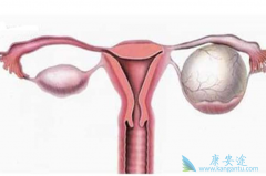 �����������Ͽڷ����в������ڲ���ҩ�����ѳ���������Ч����Σ�