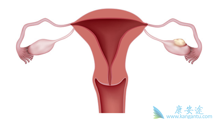 �ѳ�������