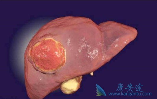 �ΰ����ڵ�����