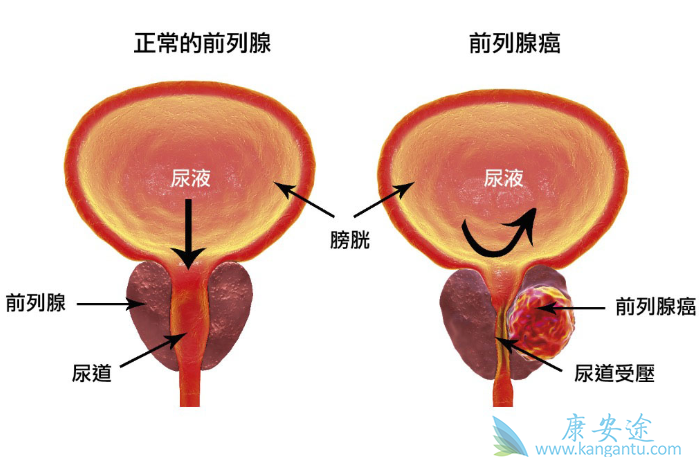 ����ǰ���ٰ�