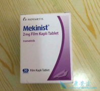 ��������������BRAFͻ���Сϸ���ΰ���ҩ��