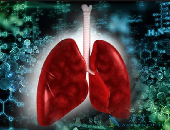 ��Сϸ���ΰ�