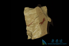 ���ƹ�������Ҫ��Ҫ��˫����Σ�