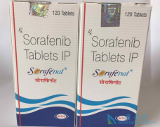 ӡ�Ȳ��༪���۸����