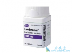 ���������������ת����NSCLC���ߵ���Ч����Σ�