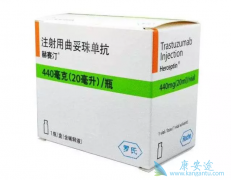 ����͡��������ʲô������