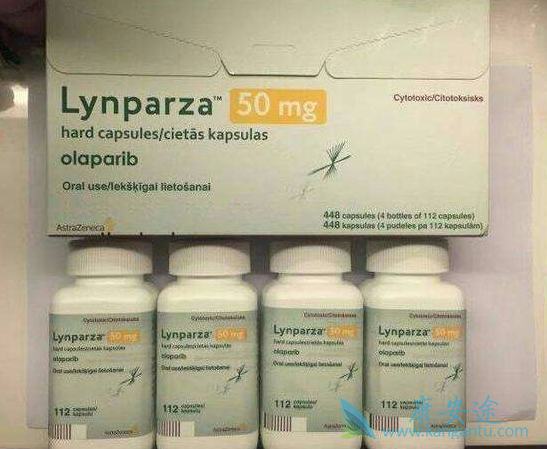 ����������Ӧ֢