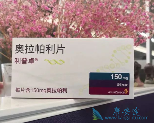 �������������ѳ���