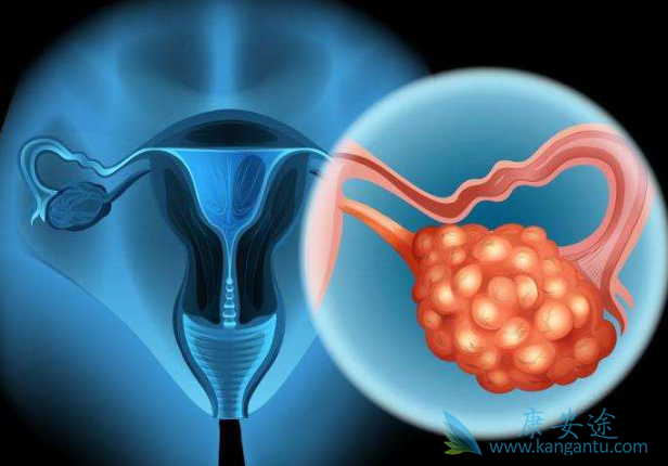 ��������˵����