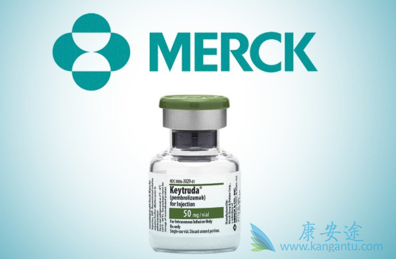 ���߼������Ƽ�