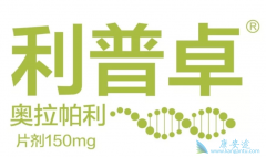 �������ḱ����Ӧ�Է���