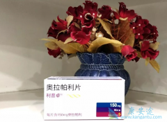 ��������˵�������İ�