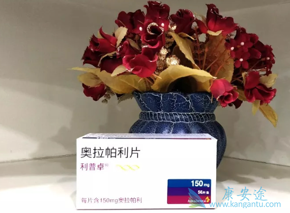 ��������˵����