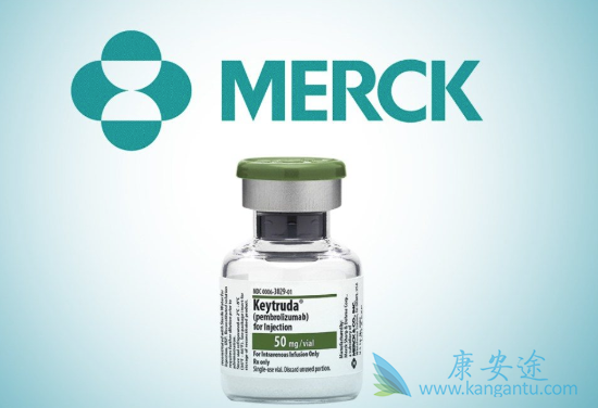 �����Ʒ����ϻ���