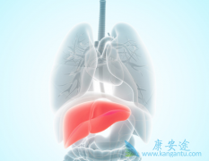 �����Ը��׿��Ե��¸�ϸ������