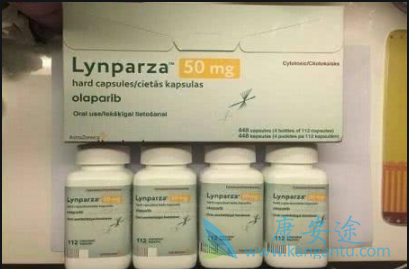 ����������ҩ