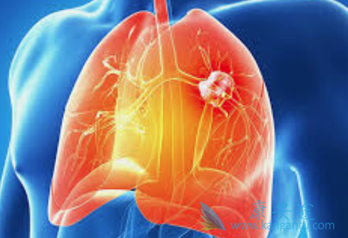 ��Сϸ���ΰ���������ҩ��