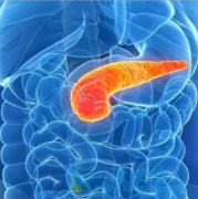 ������������û�����ʲô��