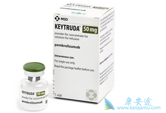 �������鵥�����ϻ���