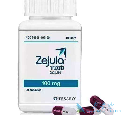 ��������˵����