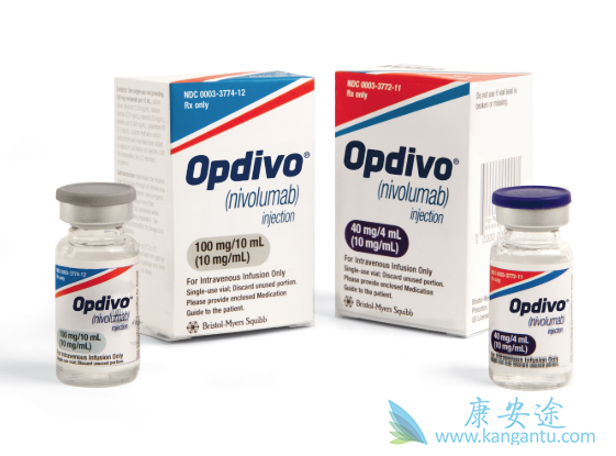 θ������������