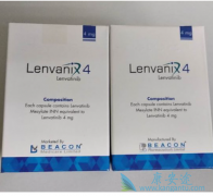 �ַ����������ڸΰ���/��������Ҳ����Ч