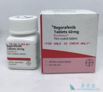 ���������ƻ�����ҩ��ת���Ե����ٰ�/���ܰ���Ч����