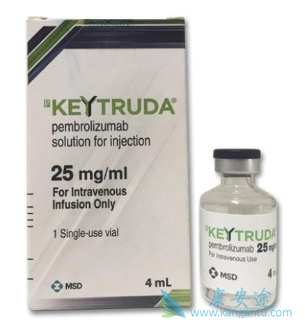 ʳ�ܰ���������