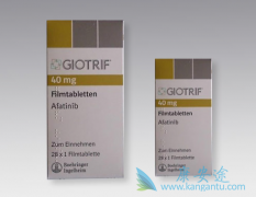 ��������Ϊ�ζԶ�NRG1�ںϻ�����Ч��