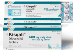 �������ǵ�һ���ɹ��ӳ����ٰ�����������CDK4/6���Ƽ�