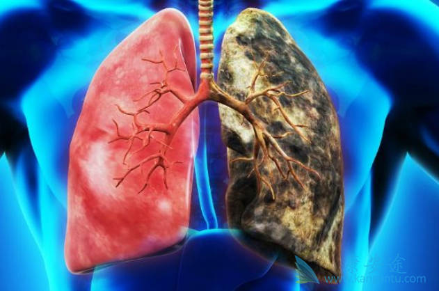 �ΰ��߷�������